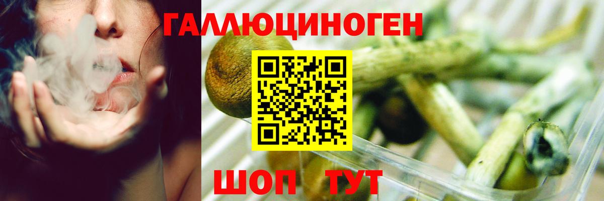 Галлюциногенные грибы Psilocybe Сергиев Посад
